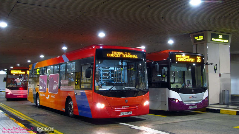 Bus 36 - Changi Airport travel.joogo.sg
