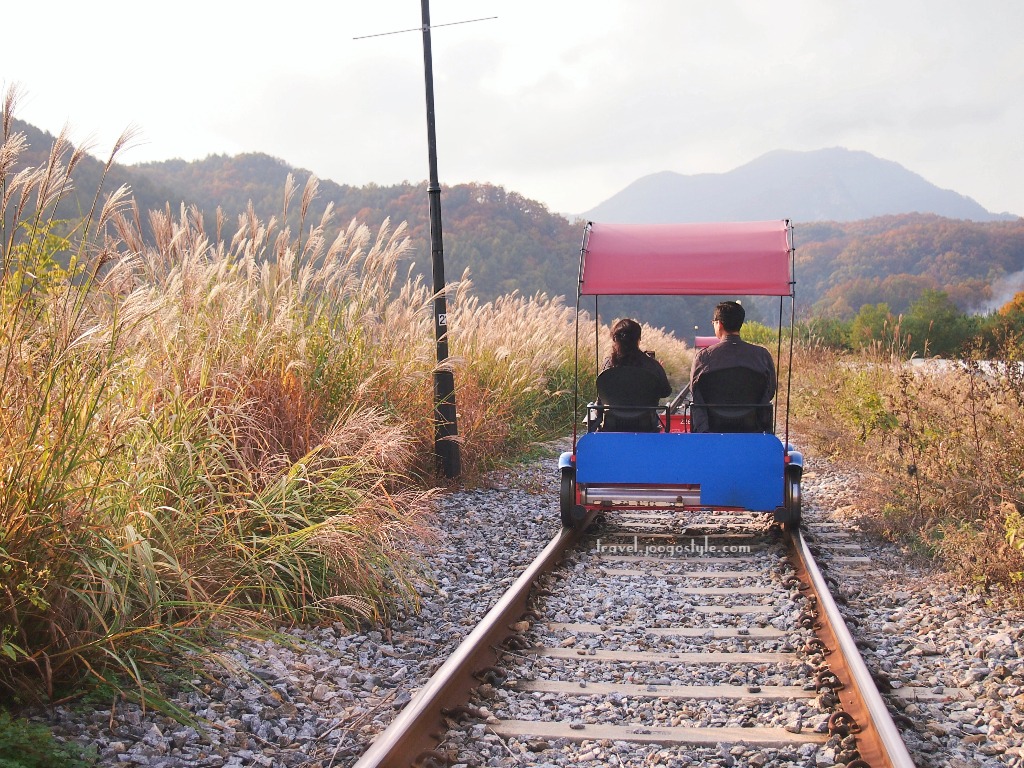 Gangchon Rail Park - What To Know BEFORE You Go